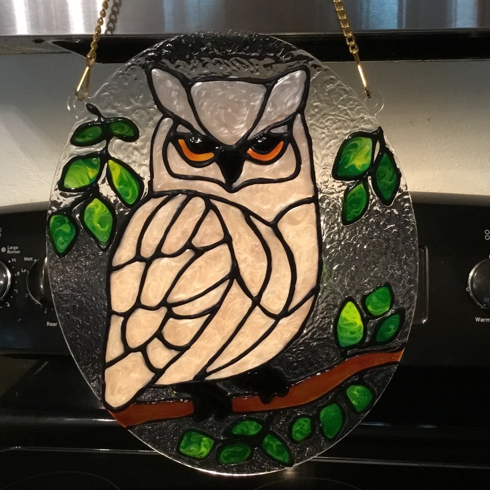 Hand Painted Stained Glass Snowy Owl on 8 X 10 Acrylic oval - Picture 1 of 3